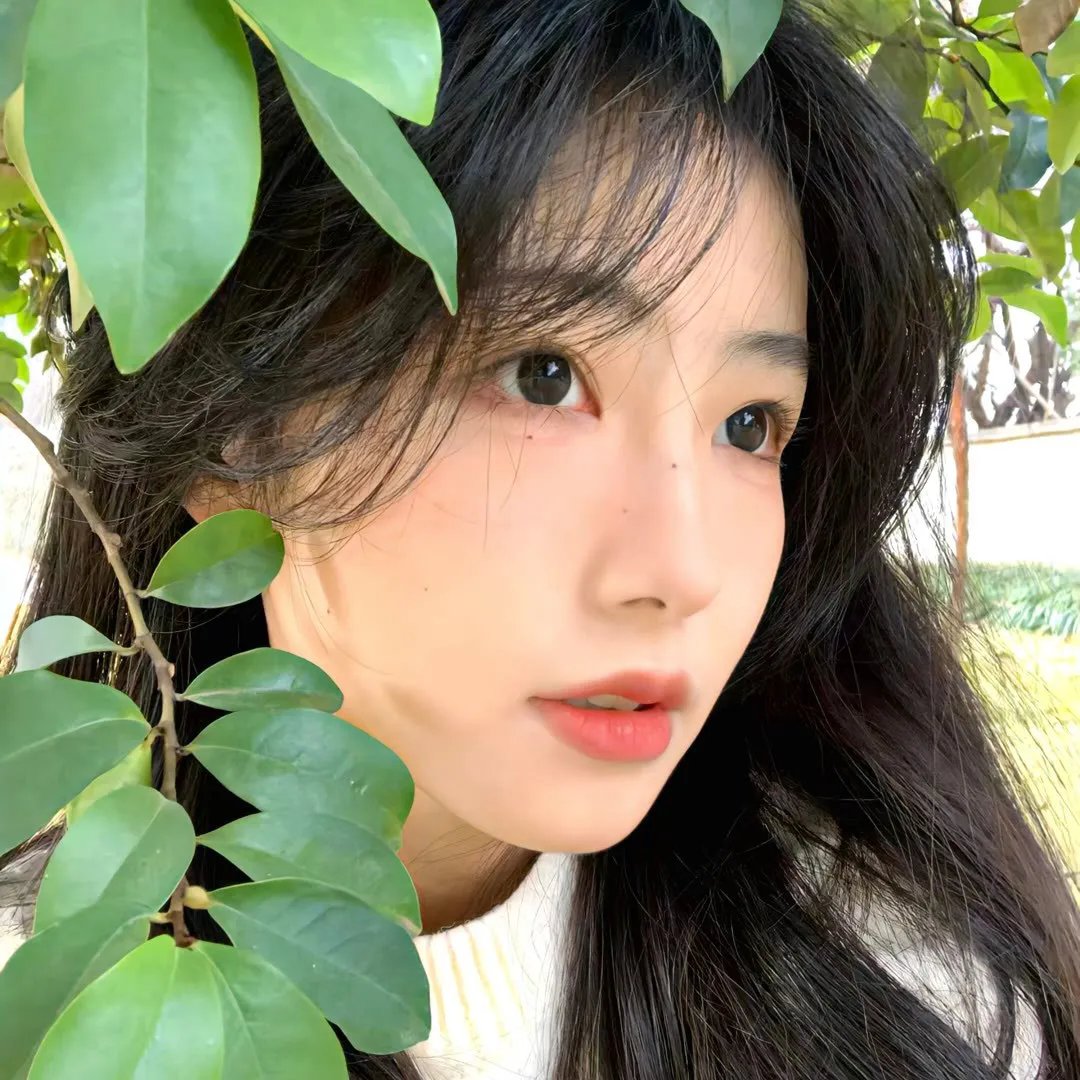 乘电车旅行的幻想