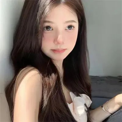 老处女日记